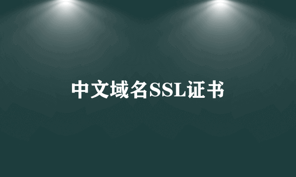 中文域名SSL证书