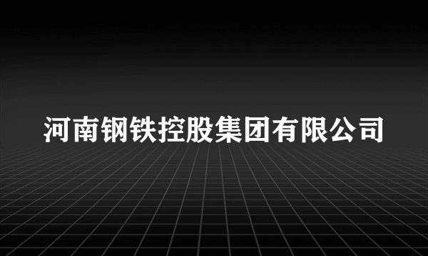 河南钢铁控股集团有限公司