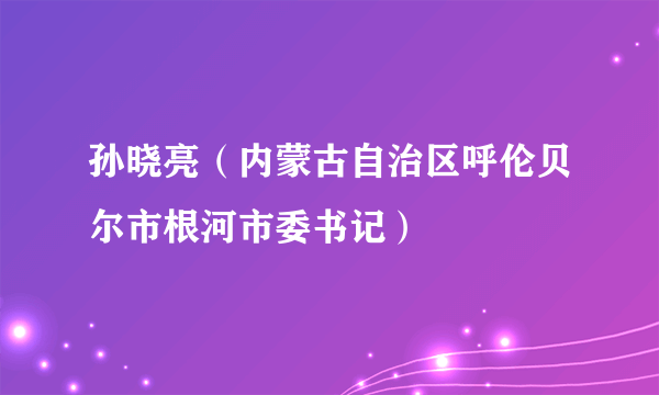 孙晓亮（内蒙古自治区呼伦贝尔市根河市委书记）