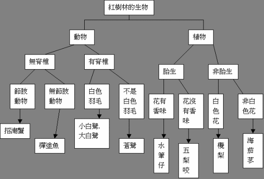 植物检索表