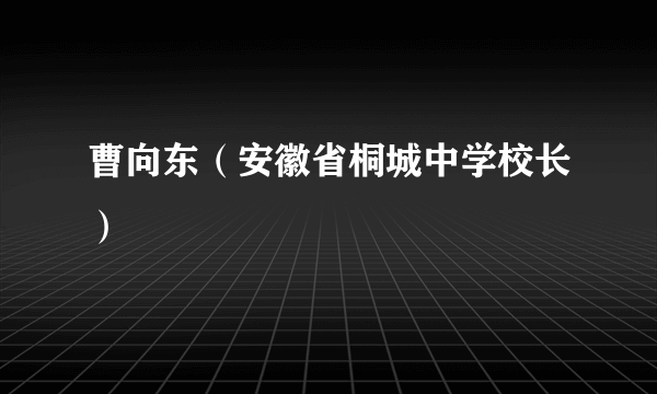 曹向东（安徽省桐城中学校长）