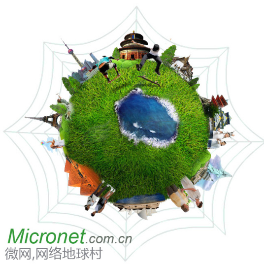 Micronet