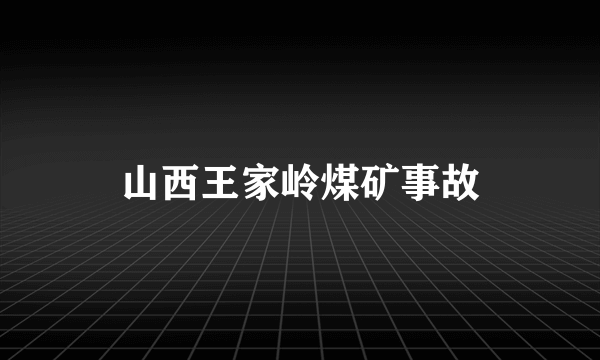 山西王家岭煤矿事故