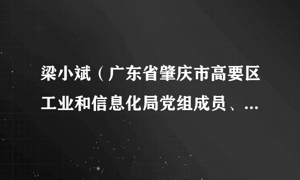 梁小斌（广东省肇庆市高要区工业和信息化局党组成员、副局长）