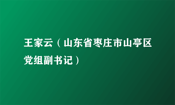 王家云（山东省枣庄市山亭区党组副书记）