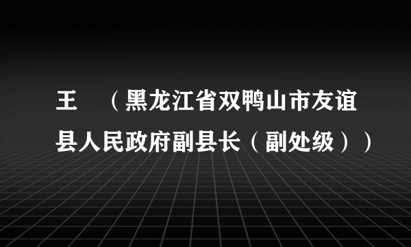 王屾（黑龙江省双鸭山市友谊县人民政府副县长（副处级））