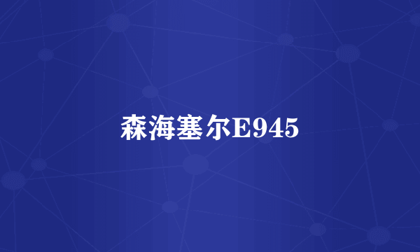 森海塞尔E945