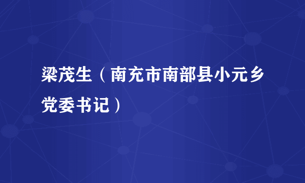 梁茂生（南充市南部县小元乡党委书记）