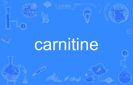 carnitine