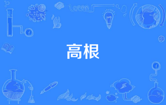 高根（数学概念）