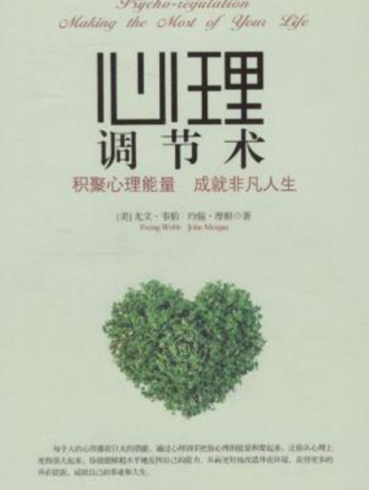 心理调节术（2013年中国华侨出版社出版的图书）