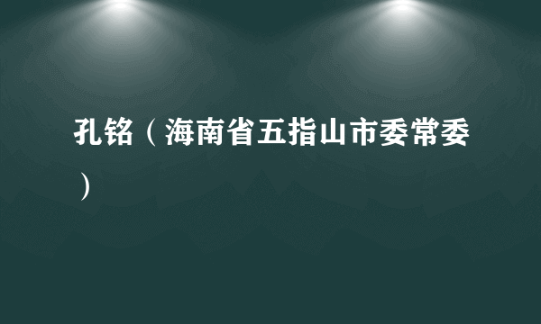 孔铭（海南省五指山市委常委）