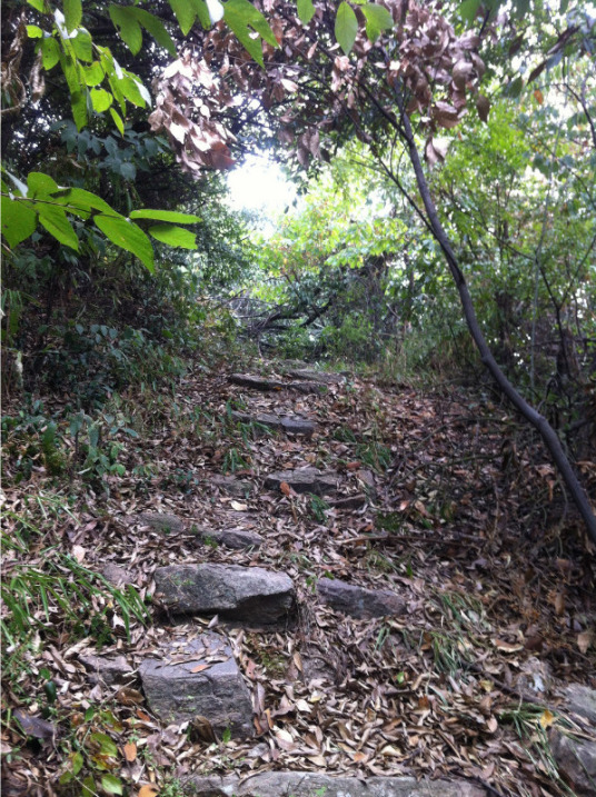 叶家山古道