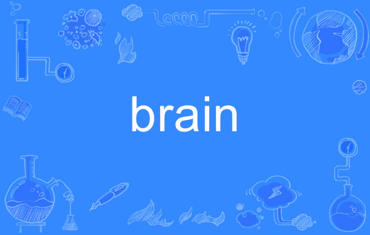 BRAIN（英文单词）