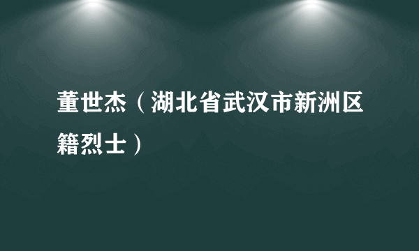 董世杰（湖北省武汉市新洲区籍烈士）