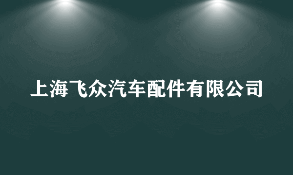 上海飞众汽车配件有限公司