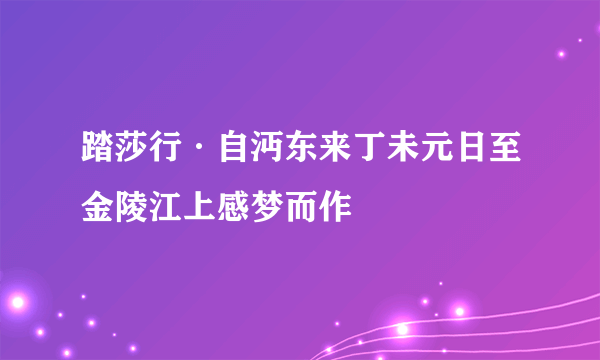 踏莎行·自沔东来丁未元日至金陵江上感梦而作