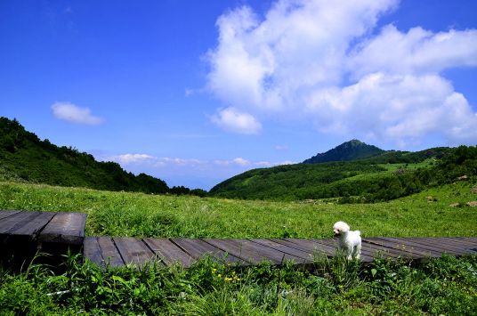 北京白草畔风景区