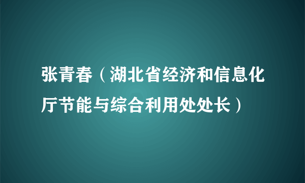 张青春（湖北省经济和信息化厅节能与综合利用处处长）