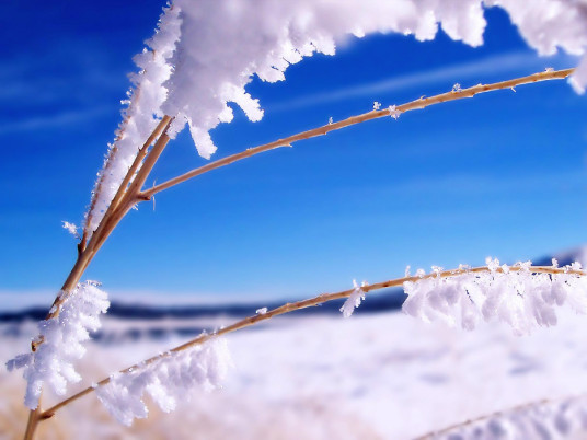 初雪（瑞士班得瑞(BANDARI)乐团作品）