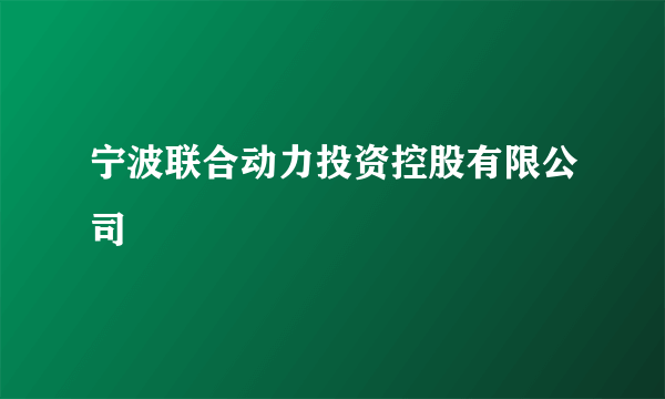 宁波联合动力投资控股有限公司