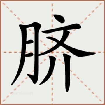 脐（汉语文字）