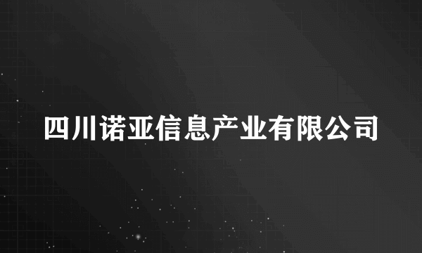 四川诺亚信息产业有限公司