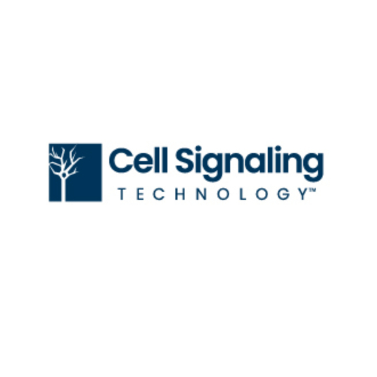 CST（Cell Signaling Technology（简称CST））