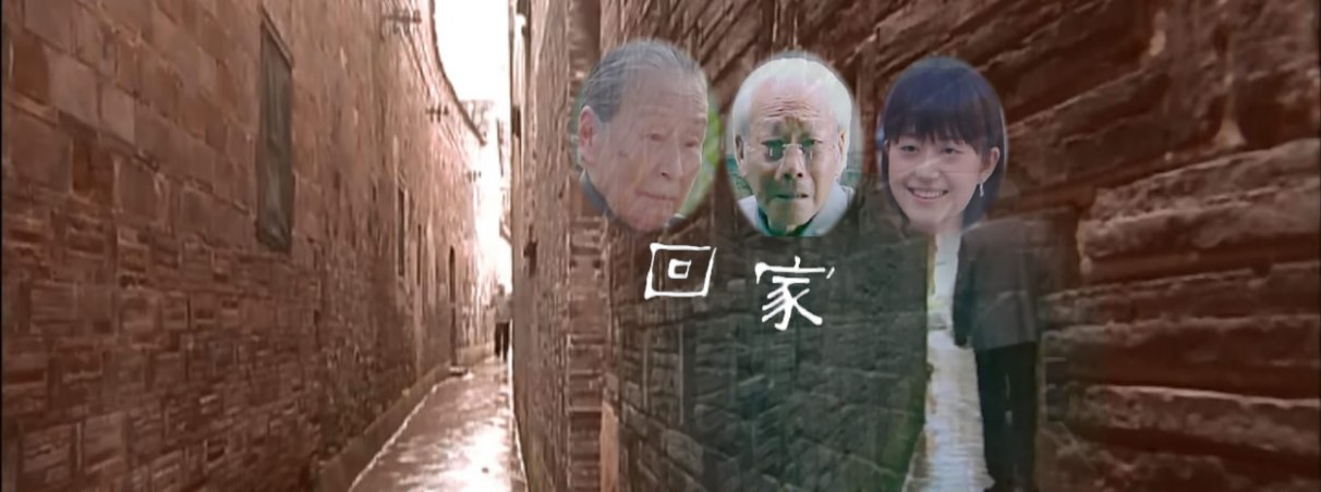 回家（2006年轩南导演数字电影）