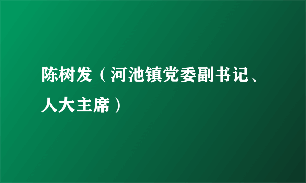 陈树发（河池镇党委副书记、人大主席）