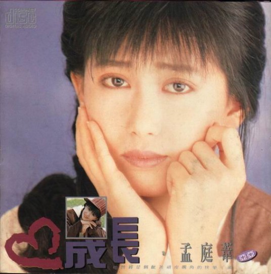 如果你不再爱我（孟庭苇1990年的原唱歌曲）