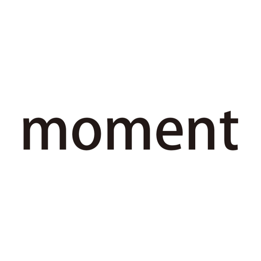 moment（英文单词）