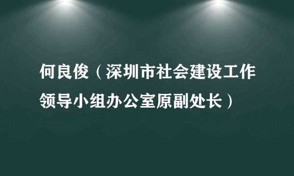 何良俊（深圳市社会建设工作领导小组办公室原副处长）