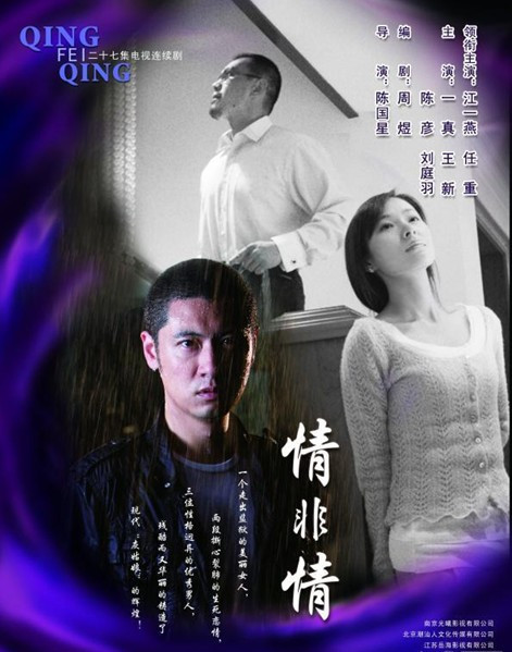 情非情（2009年江一燕、任重等主演的电视剧）