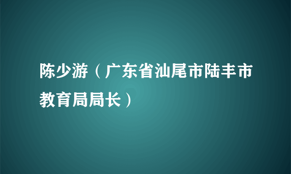 陈少游（广东省汕尾市陆丰市教育局局长）