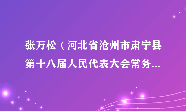 张万松（河北省沧州市肃宁县第十八届人民代表大会常务委员会主任）