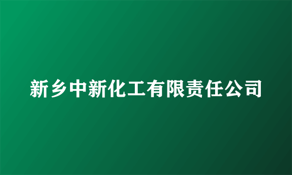 新乡中新化工有限责任公司