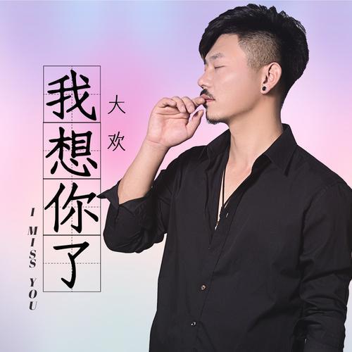 我想你了（大欢演唱歌曲）