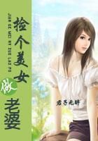 捡个美女做老婆（君子无醉创作的言情小说）