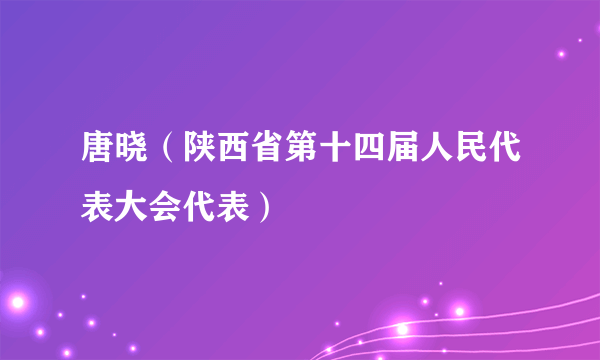 唐晓（陕西省第十四届人民代表大会代表）