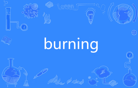 burning（英文单词）