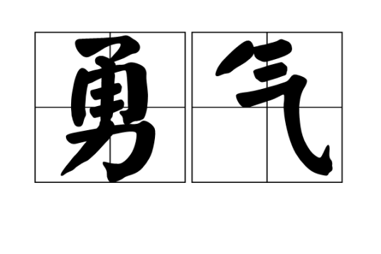 勇气（西班牙1994年马里奥·卡穆斯执导电影）