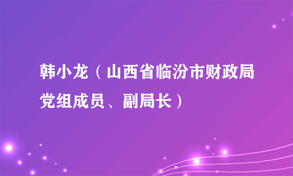 韩小龙（山西省临汾市财政局党组成员、副局长）