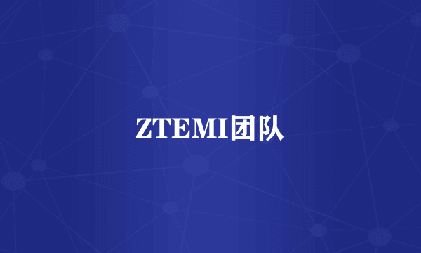 ZTEMI团队