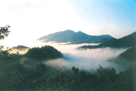 南阳伏牛山