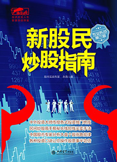 新股民炒股指南（2015年立信会计出版社出版书籍）