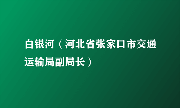 白银河（河北省张家口市交通运输局副局长）