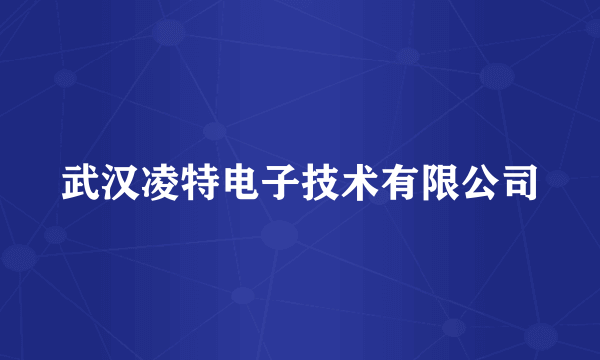 武汉凌特电子技术有限公司