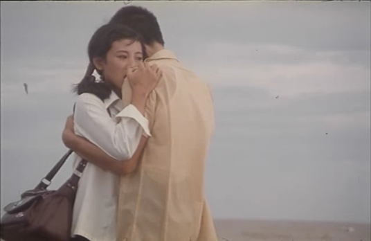 海滩（1984年滕文骥导演的影片）