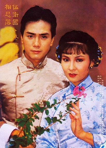 家春秋（1982年伍卫国主演香港电视剧）